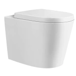 RIMLESS WALL FACED PAN, CISTERN & BUTTON PACKAGE