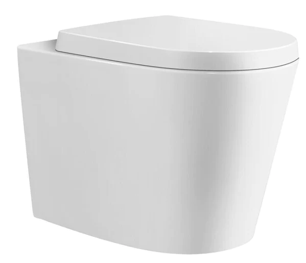 102_1_76366e11-7ef5-40d2-b5e2-25eaa498d243_599x515 RIMLESS WALL FACED PAN, CISTERN & BUTTON PACKAGE - Image 1