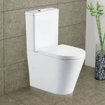 FIENZA ALUCA BACK-TO-WALL TOILET SUITE - Image 3