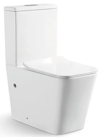 ACQUA-III_1_360x473 ACQUA-II Wall Faced Rimless Toilet Suite - Image 1